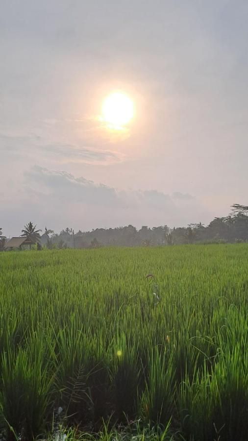 Galang Hari Villa Ubud Exterior foto